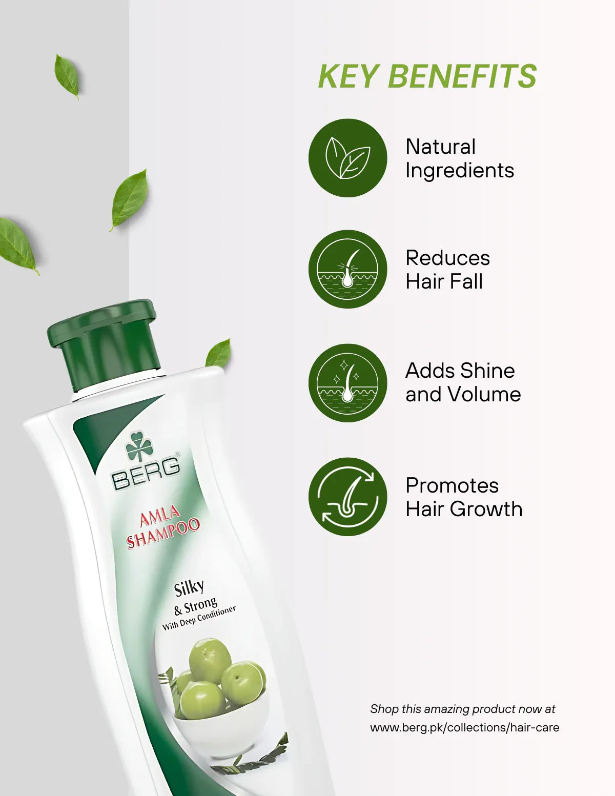 Berg Shampoo Amla - berg.pk