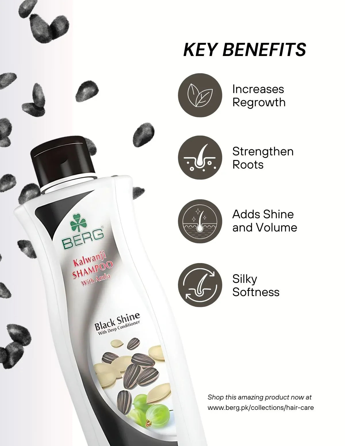 Berg Shampoo Kalwanji - berg.pk