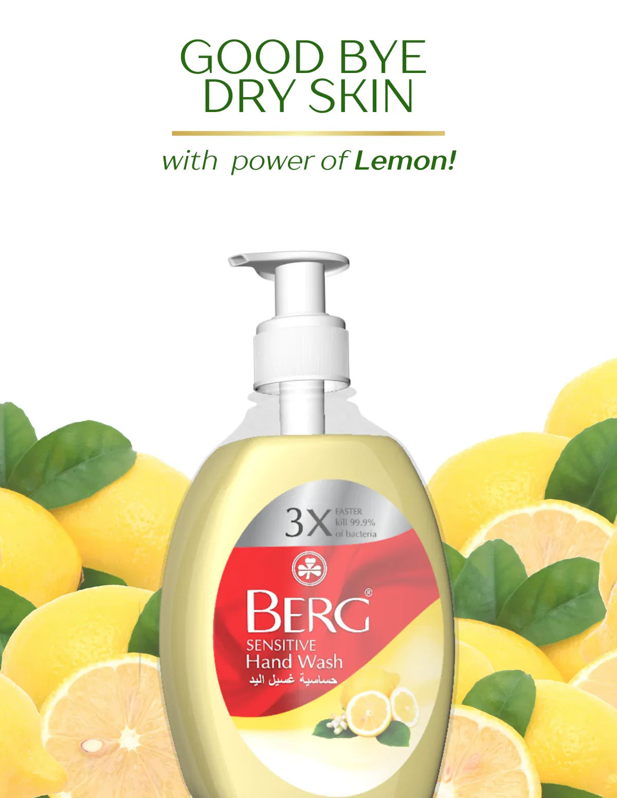 Berg Handwash Lemon - berg.pk