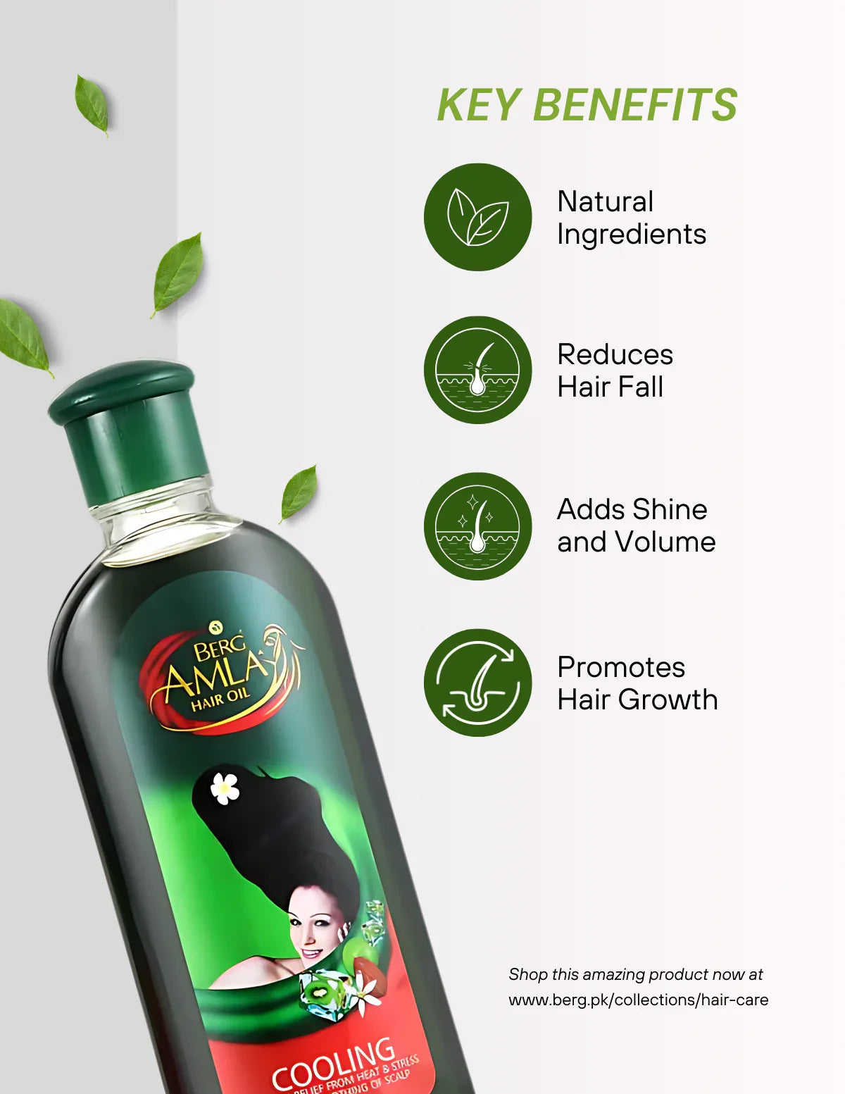 Berg Amla Hair Oil - berg.pk