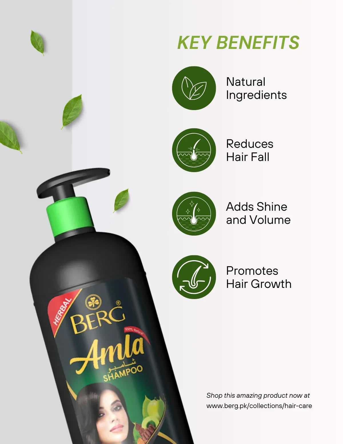 Amla Shampoo - berg.pk
