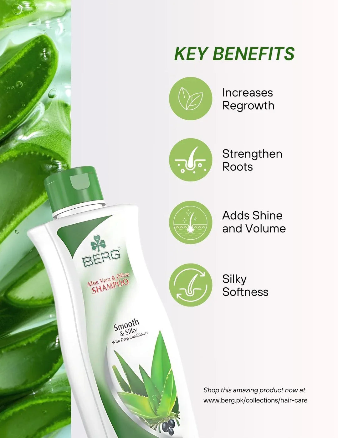 Berg Shampoo Aloe Vera &amp; Olive - berg.pk