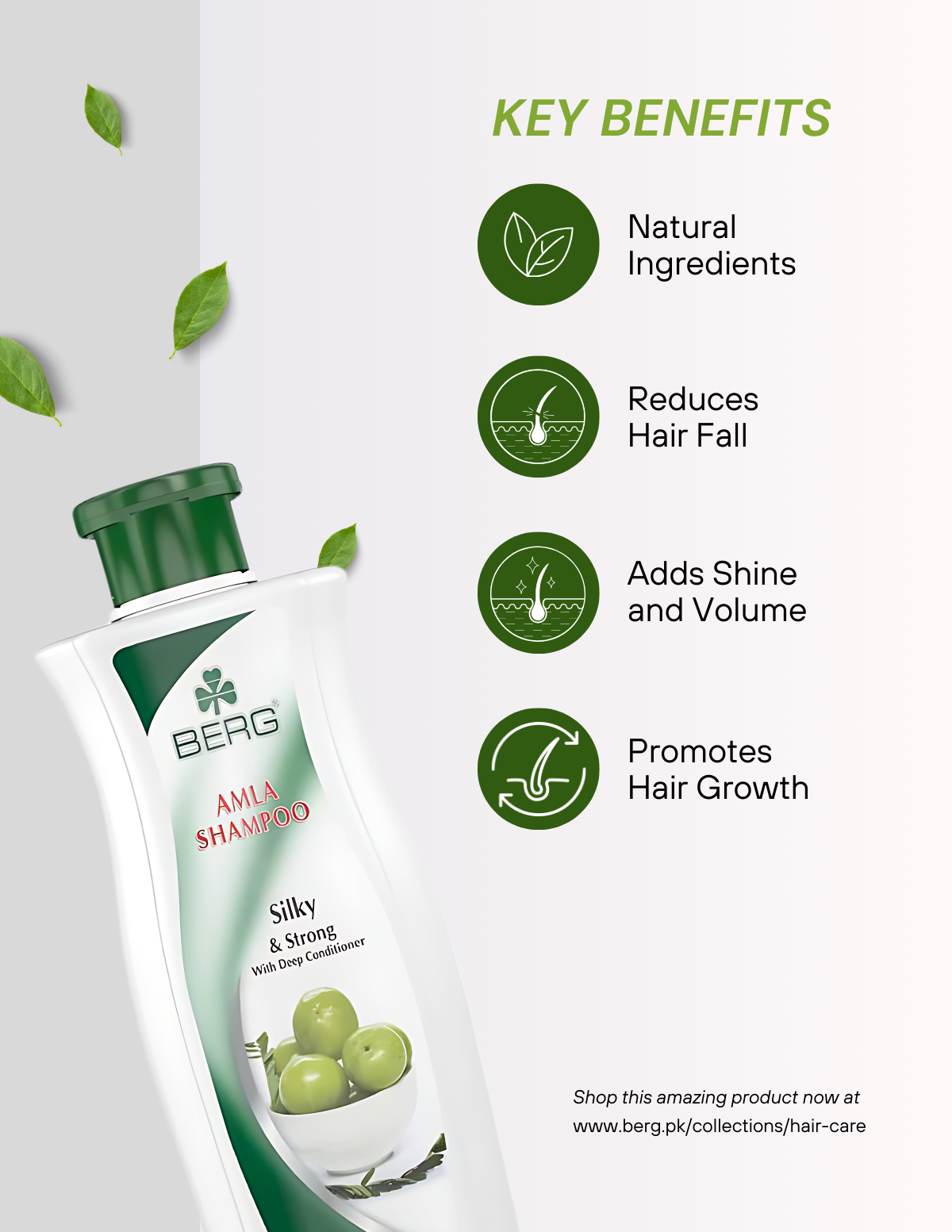 Berg Shampoo Amla