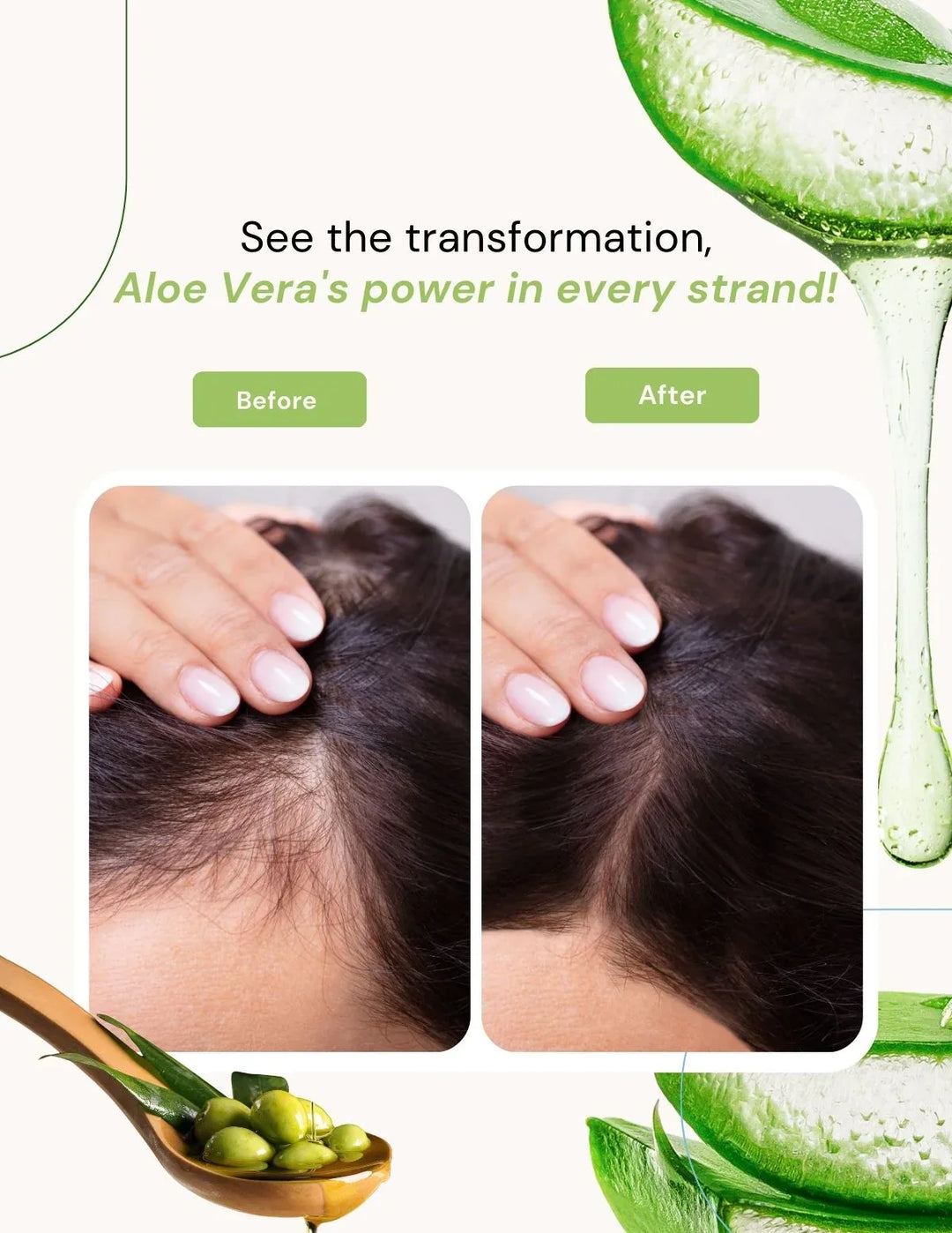 Berg Shampoo Aloe Vera &amp; Olive - berg.pk