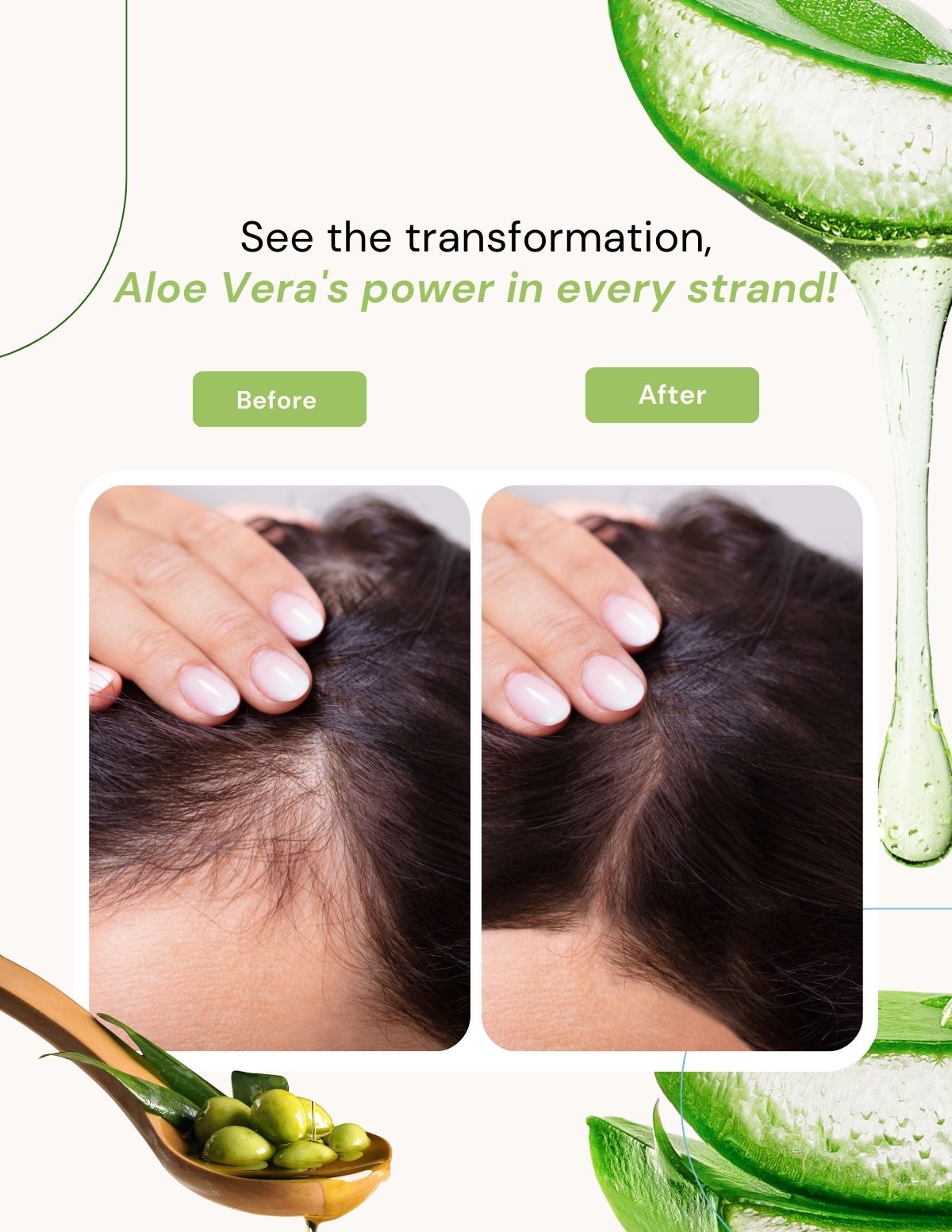 Berg Shampoo Aloe Vera & Olive