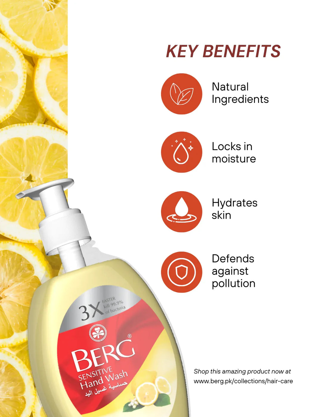 Berg Handwash Lemon - berg.pk